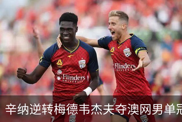 辛纳逆转梅德韦杰夫夺澳网男单冠军